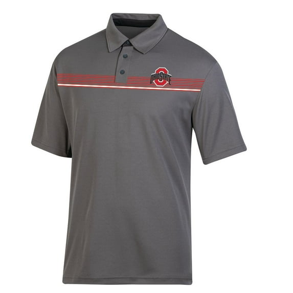 Hanes Men's NCAA Ohio State Colorblock Synthetic Polo