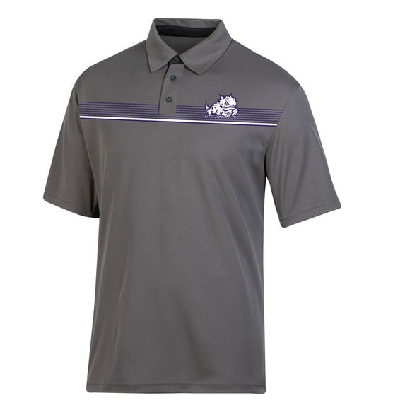 Hanes Men's NCAA Texas Christian Colorblock Synthetic Polo