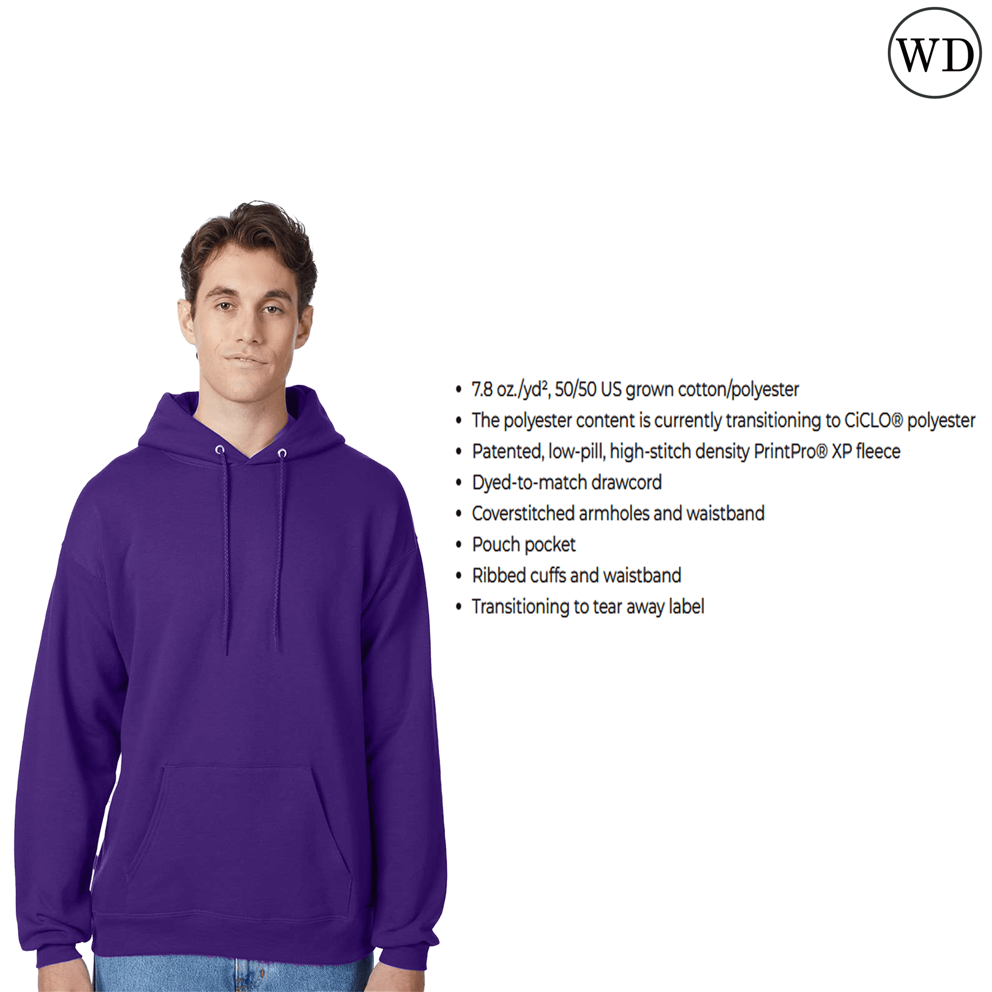 Hanes Men's Pullover EcoSmart Hooded Sweatshirt -WD17 Fleece