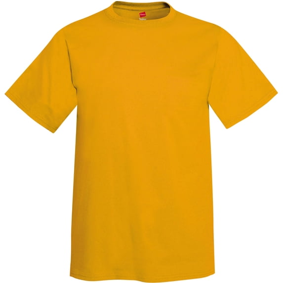 Hanes Men's Tagless Short Sleeve Tee