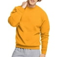thumbnail image 1 of Hanes Men's and Big Men's Ecosmart Fleece Sweatshirt, up to Size 5XL, 1 of 6