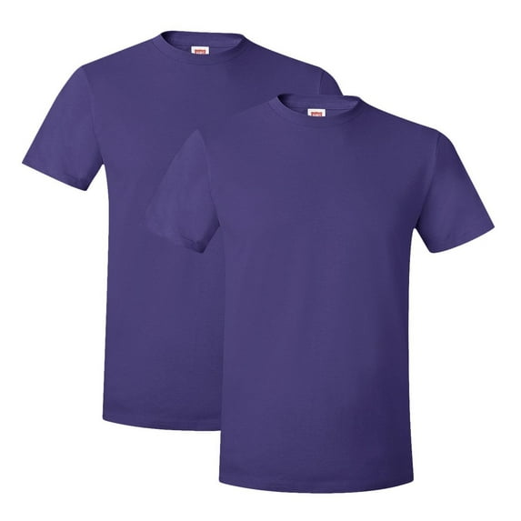 Hanes Mens Nano-T® T-Shirt (Pack of 2) 2 Purple