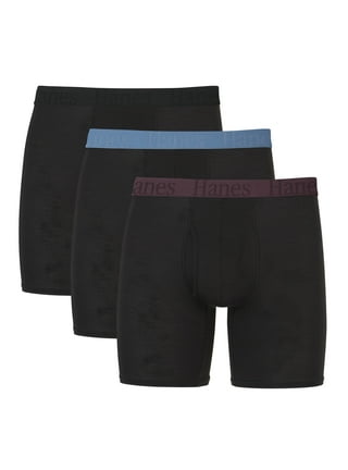 Hanes Explorer Briefs, Pack of 4, Assorted, Size Large : :  Clothing, Shoes & Accessories