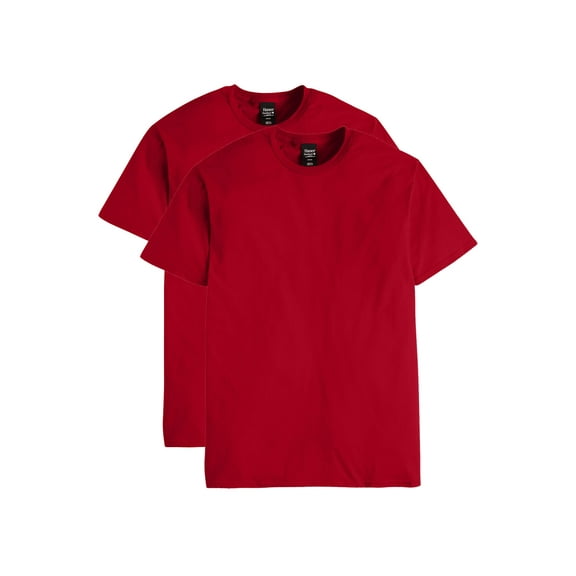 Hanes Short Sleeve T-Shirt 2-Pack Mens Perfect-T Tee Lightweight Cotton sz S-3XL