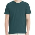 thumbnail image 1 of Hanes Short Sleeve T-Shirt - Jade Pine Heather, Men Crewneck Comfortable Classic Fit Tee, 3XL, 1 of 5