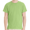 thumbnail image 1 of Hanes Men's Short Sleeve T-Shirt, Ecosmart Crewneck Shirt Casual Lime Single Tees, Size S, 1 of 5