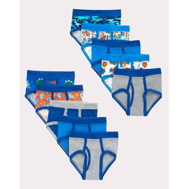 Hanes Toddler Boys' Tagless Briefs, Dinosaur Prints & Solids, 10-Pack Assorted 4