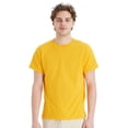 thumbnail image 1 of Hanes Unisex EcoSmart Short Sleeve T-Shirt Classic Crewneck Tees (Gold, 3XL), 1 of 8