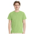 thumbnail image 1 of Hanes Unisex EcoSmart Short Sleeve T-Shirt Classic Crewneck Tees (Lime, 3XL), 1 of 8