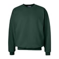 thumbnail image 1 of Hanes Unisex Ultimate Cotton Crewneck Sweatshirt, Soft Warm Fleece Pullover, Deep Forest, 2XL, 1 of 4