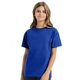 thumbnail image 1 of Hanes Youth Authentic Short Sleeve T-Shirt 100% Cotton Classic Fit Plain Crew Neck Tee (Deep-Royal, XL), 1 of 7