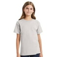 thumbnail image 1 of Hanes Youth Essential-T Short Sleeve T-Shirt 100% Cotton Classic Fit Breathable Kids Tee (Ash, XS), 1 of 7
