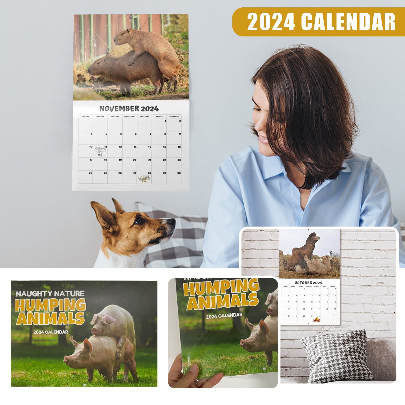 Calendar 2024,Desk calendar,Humping Animals Calendar 2024