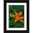 thumbnail image 1 of Haney, Chuck 11x14 Black Ornate Wood Framed with Double Matting Museum Art Print Titled - Orange daylily in Whitefish-Montana-USA, 1 of 4