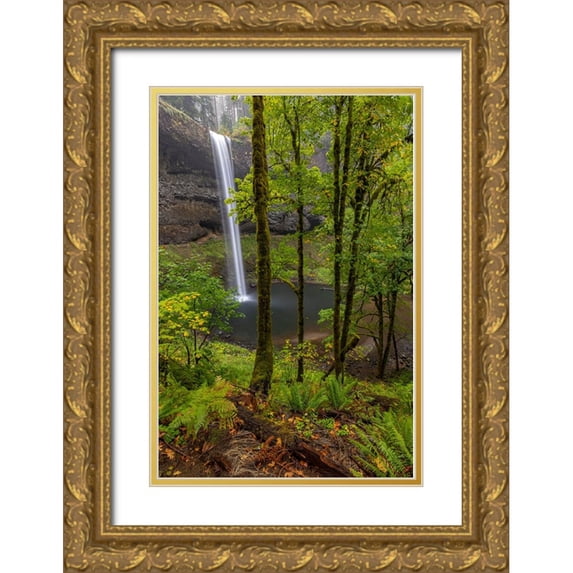 Haney, Chuck 11x14 Gold Ornate Wood Framed with Double Matting Museum Art Print Titled - South Falls at Silver Falls State Park near Sublimity-Oregon-USA