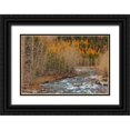 thumbnail image 1 of Haney, Chuck 14x11 Black Ornate Wood Framed with Double Matting Museum Art Print Titled - Bear Creek in autumn in the Flathead National Forest-Montana-USA, 1 of 4