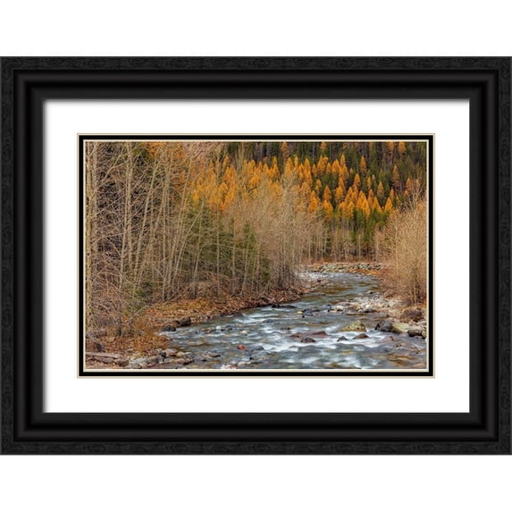 Haney, Chuck 14x11 Black Ornate Wood Framed with Double Matting Museum Art Print Titled - Bear Creek in autumn in the Flathead National Forest-Montana-USA