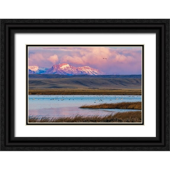 Haney, Chuck 18x13 Black Ornate Wood Framed with Double Matting Museum Art Print Titled - Birds in pond with Ear Mountain in background during spring migration at Freezeout Lake Wildlife Ma