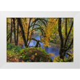thumbnail image 1 of Haney, Chuck 18x13 White Modern Wood Framed Museum Art Print Titled - Colorful autumn maples along Humbug Creek in Clatsop County-Oregon-USA, 1 of 4