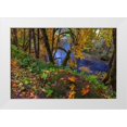 thumbnail image 1 of Haney, Chuck 18x13 White Modern Wood Framed Museum Art Print Titled - Colorful autumn maples along Humbug Creek in Clatsop County-Oregon-USA, 1 of 4