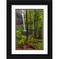 thumbnail image 1 of Haney, Chuck 23x32 Black Ornate Wood Framed with Double Matting Museum Art Print Titled - South Falls at Silver Falls State Park near Sublimity-Oregon-USA, 1 of 4