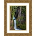 thumbnail image 1 of Haney, Chuck 23x32 Gold Ornate Wood Framed with Double Matting Museum Art Print Titled - Toketee Falls runs over basalt columns in the Umpqua National Forest-Oregon-USA, 1 of 4