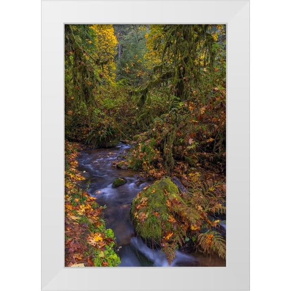 Haney, Chuck 23x32 White Modern Wood Framed Museum Art Print Titled - Munson Creek Falls State Natural Site in autumn near Tillamook-Oregon-USA