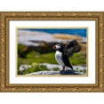 thumbnail image 1 of Haney, Chuck 24x17 Gold Ornate Wood Framed with Double Matting Museum Art Print Titled - Atlantic Puffins on Machias Seal island-Maine-USA, 1 of 4