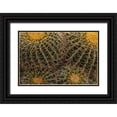 thumbnail image 1 of Haney, Chuck 32x23 Black Ornate Wood Framed with Double Matting Museum Art Print Titled - Golden Barrel Cactus at the Arizona Sonoran Desert Museum in Tucson-Arizona-USA, 1 of 4