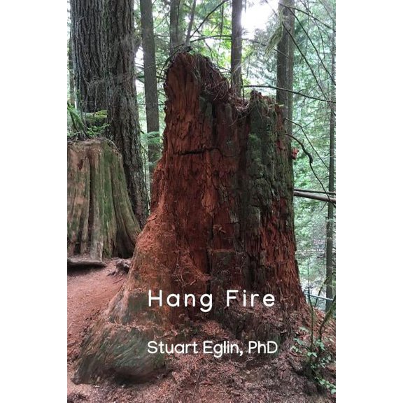 Hang Fire (Paperback)