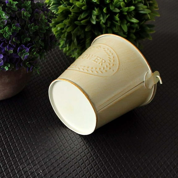 Hang Flower Pots White Iron Bucket Carved Flow er Word Leaf Pattern Vintage Patina Handle, Creative Flowerpot Flower Pots Outdoor