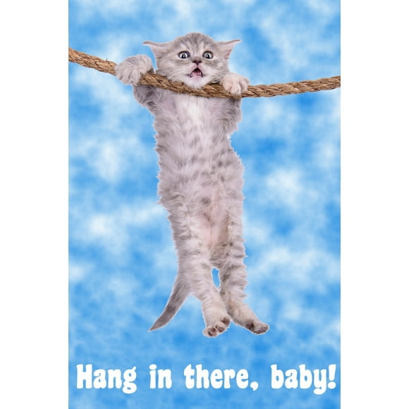 Hang In There Baby Cat Hanging Poster Kitten Kitty Modern Wall Decor Picture Bedroom Home Living Room Cute Creative Graphic Print Gift Wall Art Painting Decor Cool Wall Art Print Poster 12x18