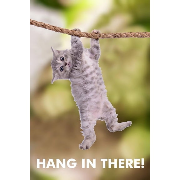 Hang In There Cat Poster Unframed Size 24''x36'' GooGate