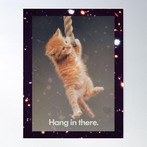Hang In There, Space Kitty Poster Wall Art, Modern Wall Decor For Living Room Bedroom, 16x24 UNFRAMED