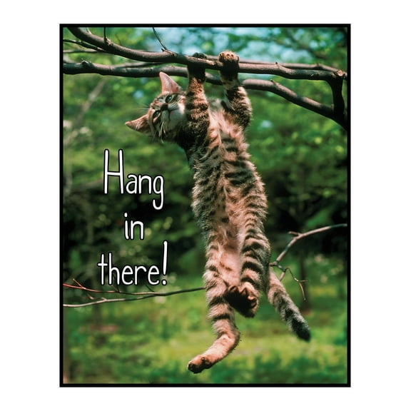 Hang in There Cat Poster Funny Cat Posters for Wall Motivational Abstract Animals Wall Art For Home Bedroom Living Room Office And Other Wall Decor