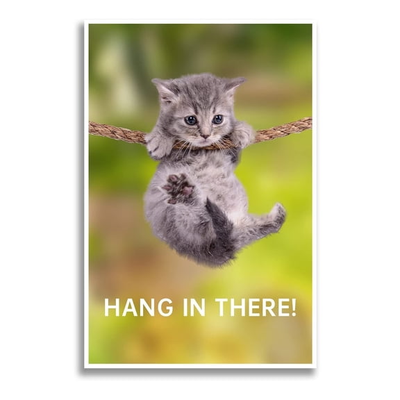Hang in There Cat Poster - Funny Motivational Wall Art poster Inspirational Print Canvas for Home Living Room Bedroom Decor