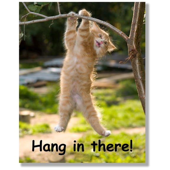 HoneyKICK Hang in There Cat Poster, Funny Motivational Wall Art, 11x14