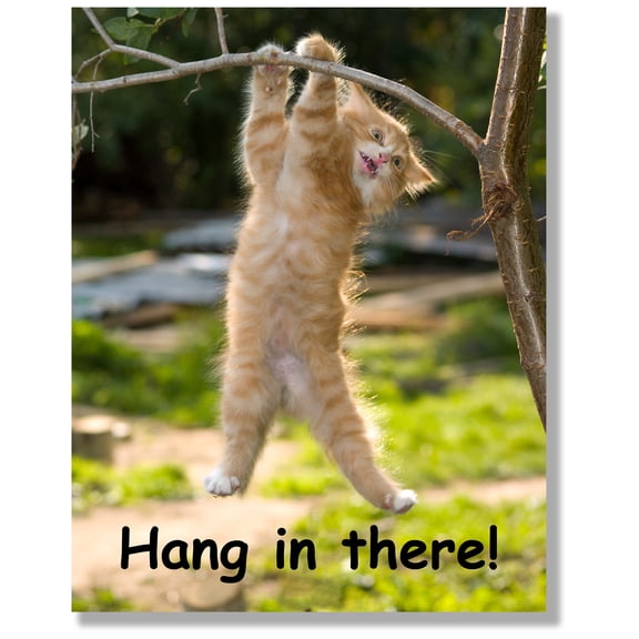 HoneyKICK Hang in There Cat Poster 11x14 - Vintage Retro Motivational Cat Print - Classic Kitty Wall Art for Office Decor, Dorm Room, Bedroom, Funny Motivational Posters for Work
