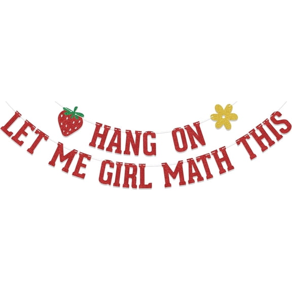 Hang on Let Me Girl Math This Banner Strawberry Birthday Party Decorations Girls Just Wanna Have Fun Birthday Decorations Red