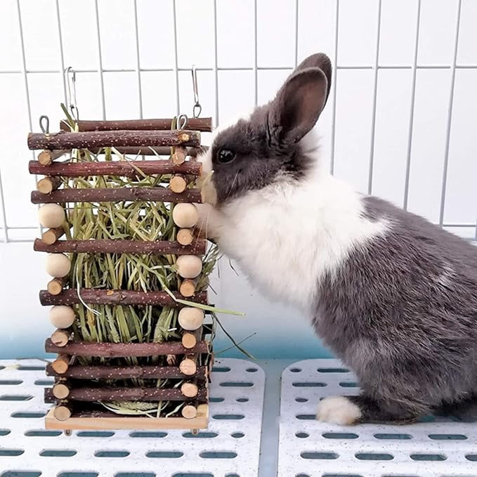 Curated visual reference: Picture Idea: Hanging Apple Wood Rabbit Hay Feeder Wooden Grass Shelf With