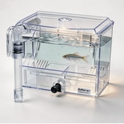 Hanging Aquarium Breeder Box   External Fish Isolation & Breeding Tank, Crystal Clear Acrylic, Multi-Compartment with Feeding Hole, Adjustable for Bettas, Guppies & Shrimp