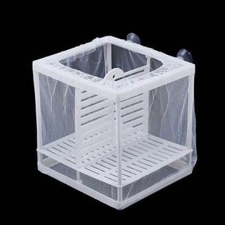 baby fish net for tank Aquarium Nets Angels Plus the fish net becomes a handy tool when you need to quickly handle fish Fish Baby Net