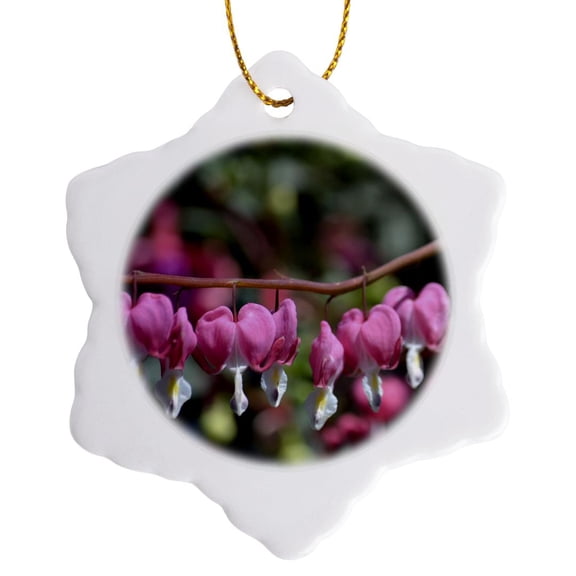3drose, Hanging Around - Bleeding Heart Flowers - Floral Photography, 3 inch Snowflake Porcelain Ornament