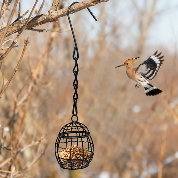 Hanging Bird Feeder for Outside, Small Metal Cage Wild Bird Seed Feeder with Chain, Decorative Garden Yard Patio Decor, Attracts Finches, Sparrows, Black Finish
