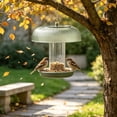 thumbnail image 1 of Hanging Bird Feeder Rain Guard Dome Cover, Weather Proof Clear Plastic Shield for Wilderness Feeders, Anti Squirrel Baffle for Tube Tray Hummingbird Feeder Outdoor Use, 1 of 6