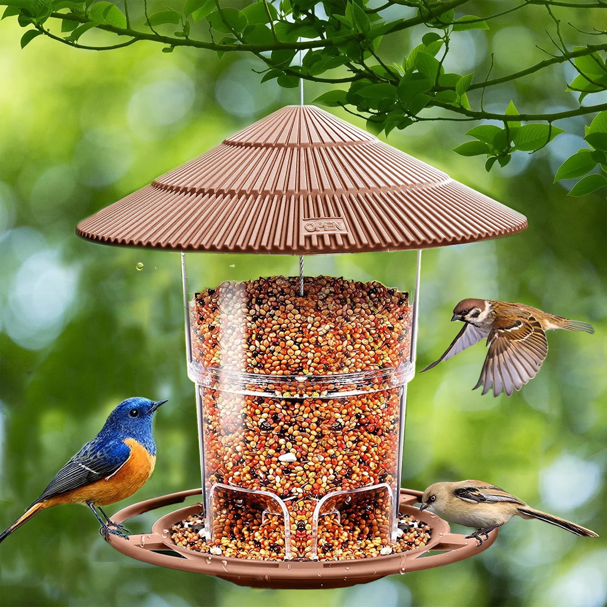 Hanging Bird Feeders for Outside,Bird Seed for Outside Wild Bird
