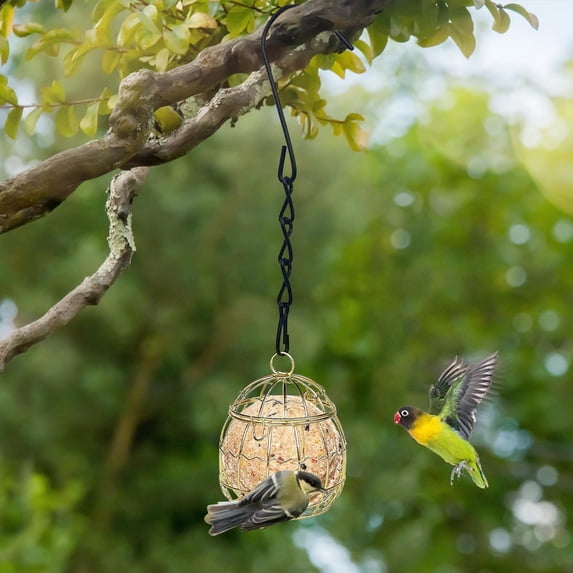 Hanging Birdcage Feeder 1 Pack, Metal Outdoor Bird Feeder, Small Spring Style for Garden Yard Patio Wild Bird Feeding