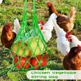 thumbnail image 1 of Hanging Chicken Feeder Poultry Fruit Vegetable Mesh Holder For Hens Large Birds Functional Feeding Toy, 1 of 3