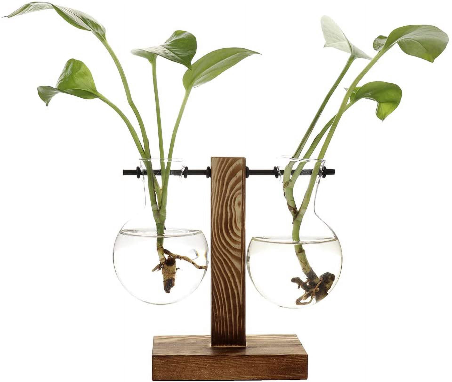 Hanging Clear Vase Plant Water Planting 2Pcs Glass Vase With Solid
