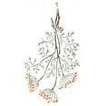 thumbnail image 1 of Hanging Dill Herbs Wall Stencil DEE101 by DeeSigns, 1 of 1